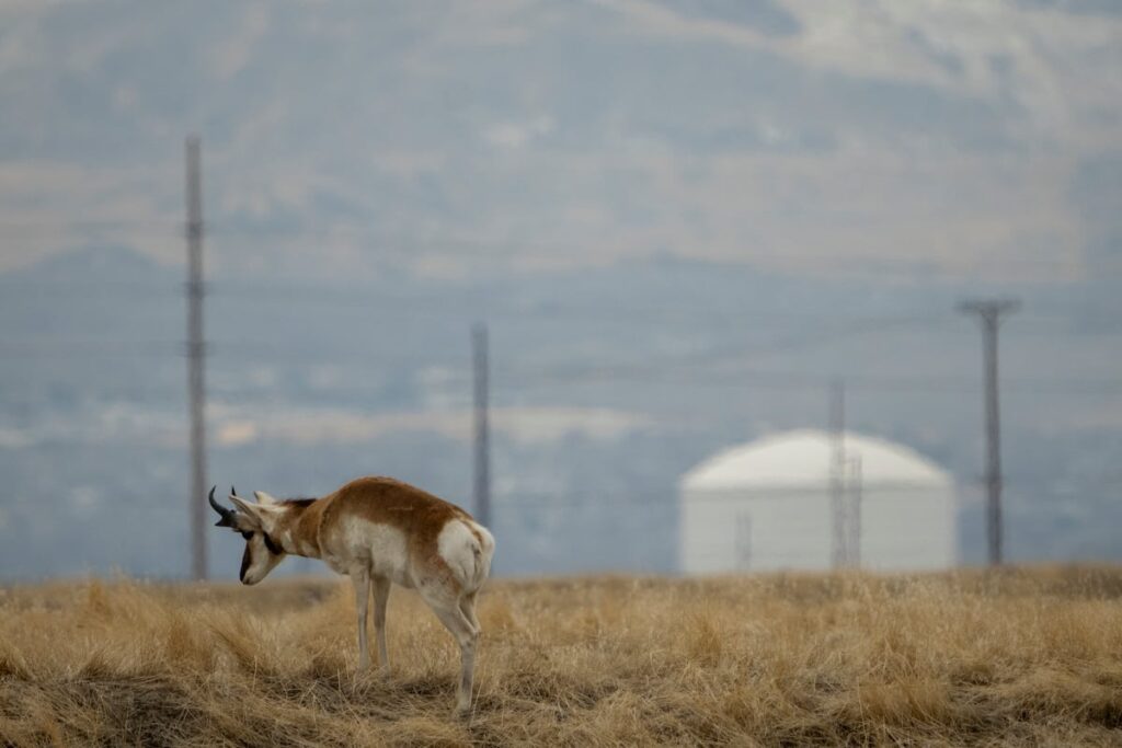 Utah Inland Port Authority buys old SLC landfill, plans to clean it up