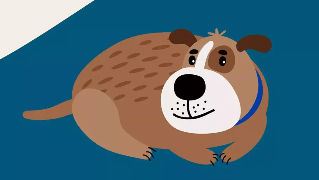 I'm Dating a Man Whose Dog Sleeps in Bed With Us — Gross!