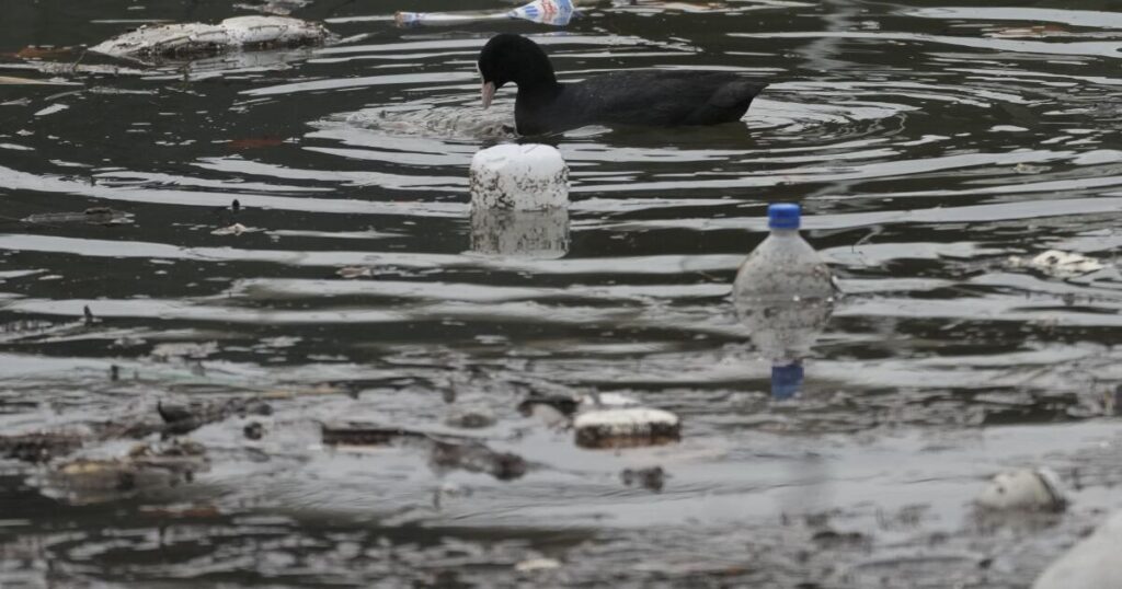 Newsom stymies implementation of landmark California plastic law