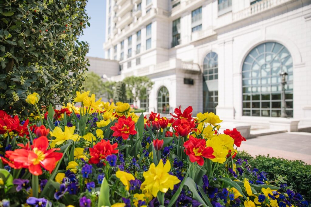 For Mother's Day 2025, take Mom to one of these Utah restaurants
