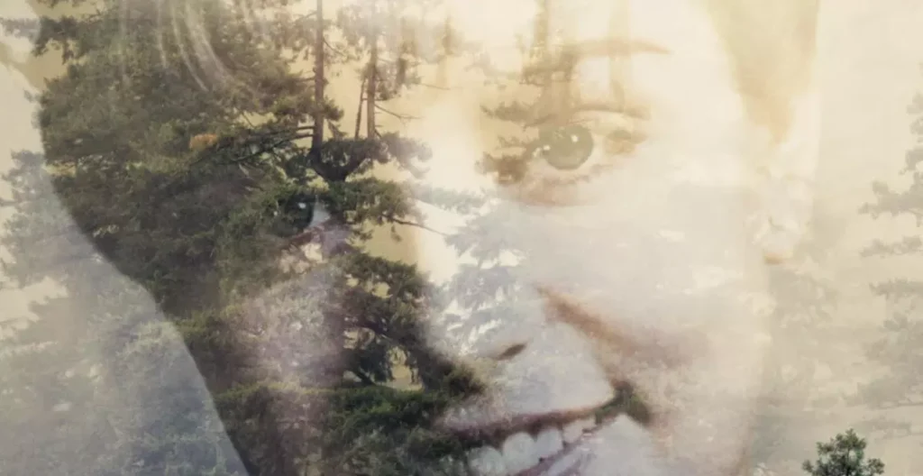 Mesa ‘Twin Peaks’ celebrity event set for October