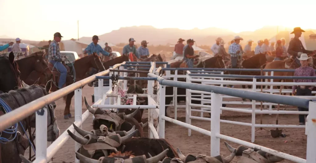 Rodeo’s rough reality: Inside America’s most dangerous sport