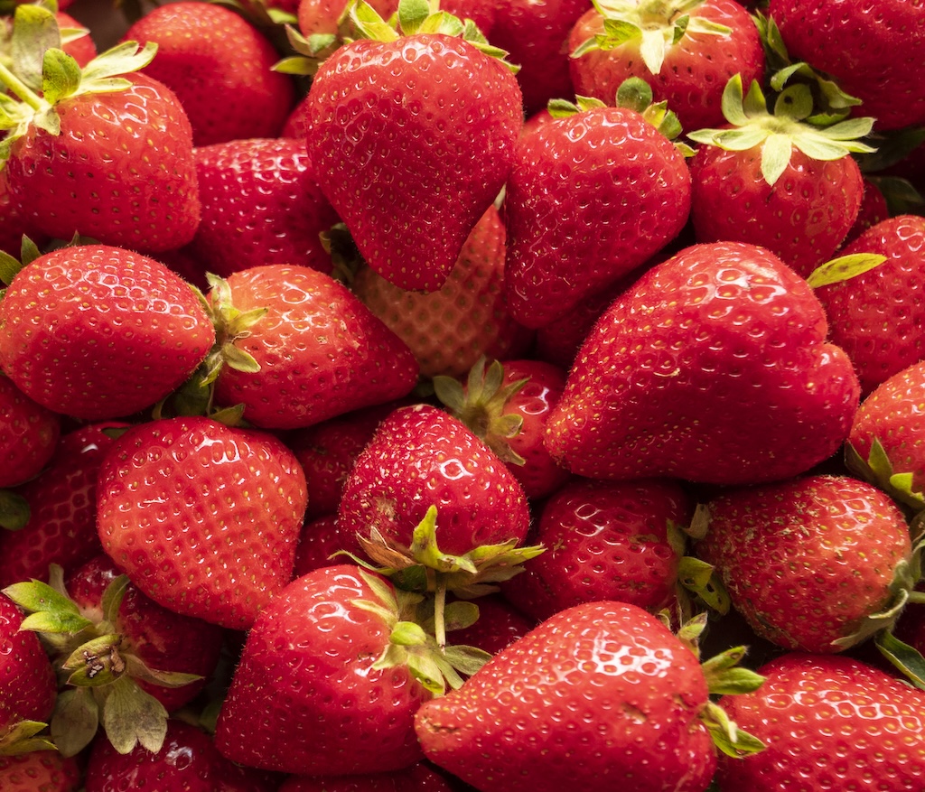 Where to Pick Berries in Central Arkansas