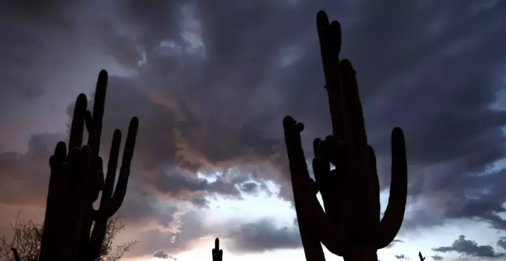 Which Maricopa County areas saw the most rainfall Sunday?