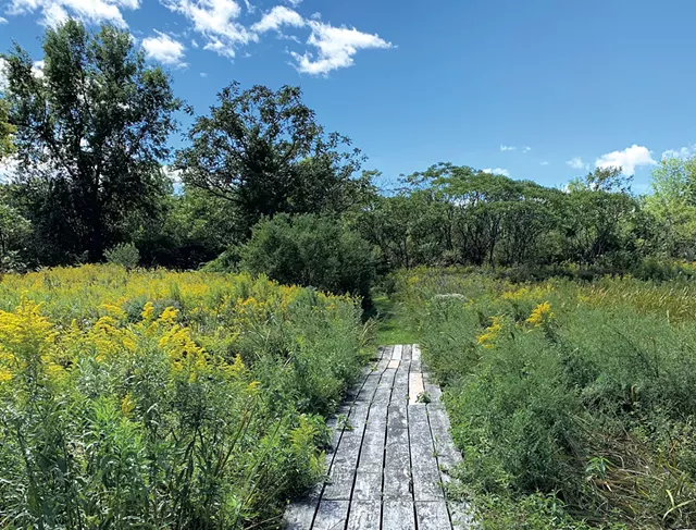 The Island Farm Nature Trail at Burton Island State Park - FILE: JEB WALLACE-BRODEUR
