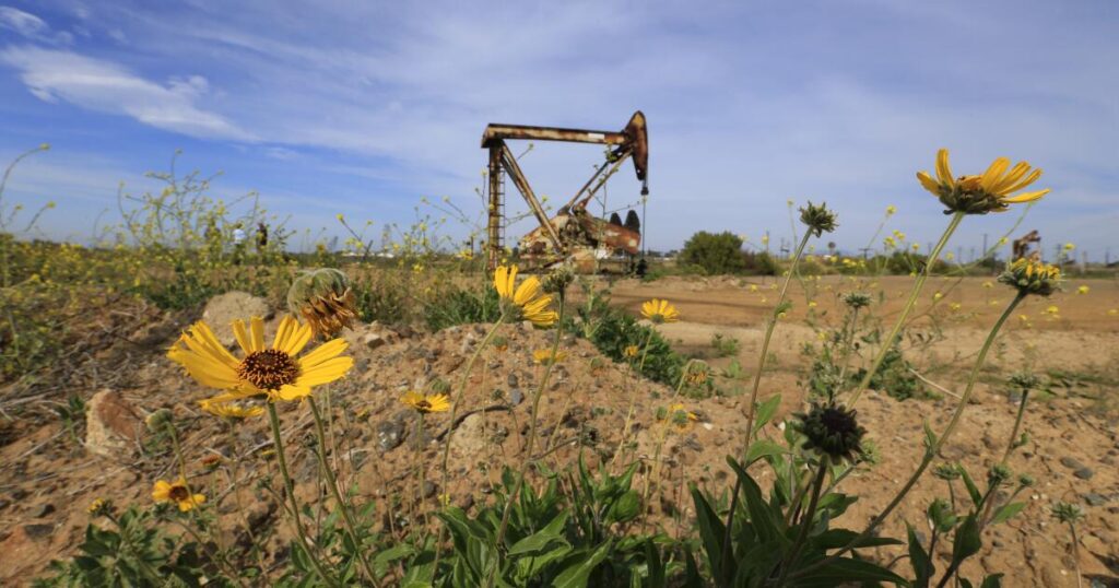 As July 4th approaches, O.C. preserve requires fire-preventing action