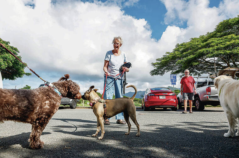 Dog owners seek increased access to parks for furry family members