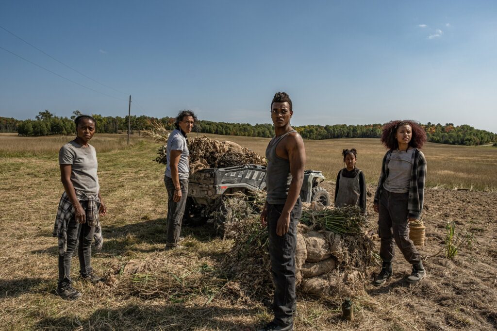 Incoming! Cannibals, Dark Comedy, and American Psychosis   