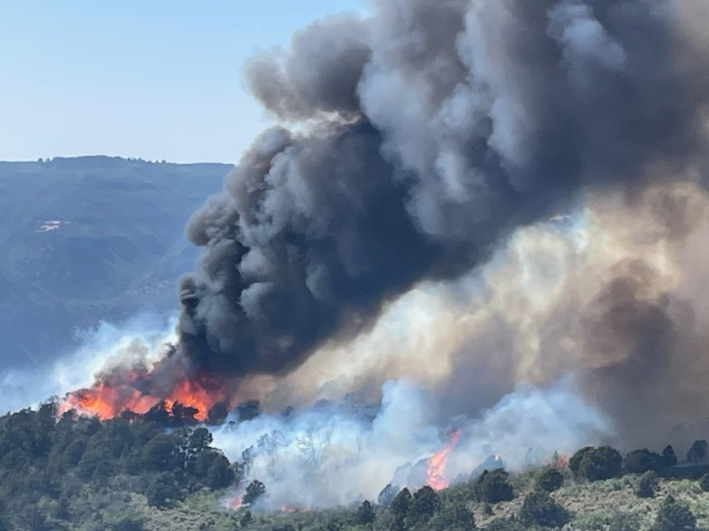 Wildfires ignite in Douglas County, add to damage from western slope blazes