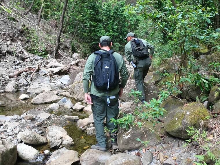 COURTESY DLNR
                                Sacred Falls, also known as Kaliuwaa Falls in Hauula, has been closed since a deadly rockslide on Mothers Day in 1999 resulted in eight deaths and injured numerous others.