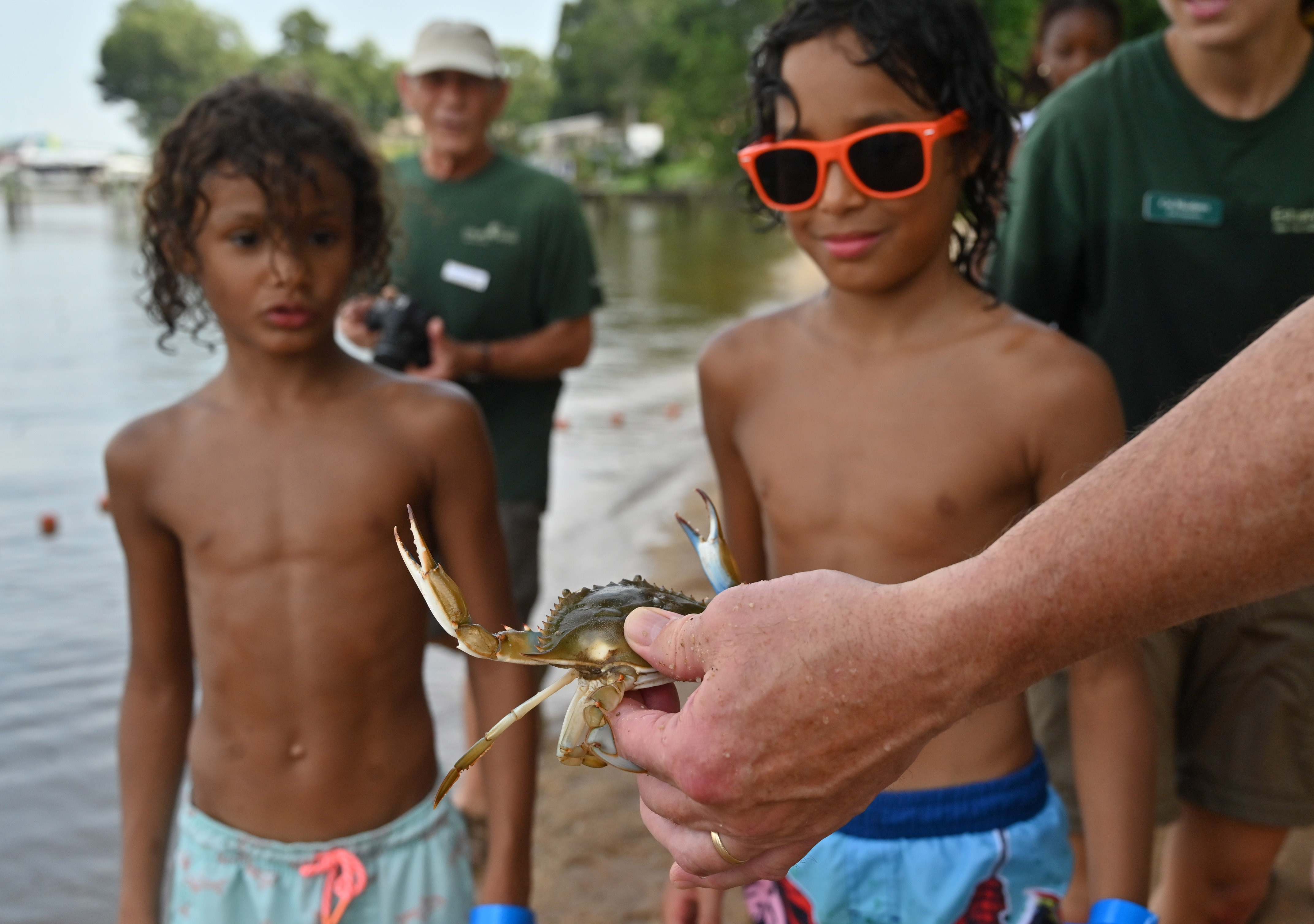 Youngsters check out a blue crab caught during a seine fishing demonstration during Harford County Parks and Recreation Day at Flying Point Park on Friday. (Brian Krista/Staff)