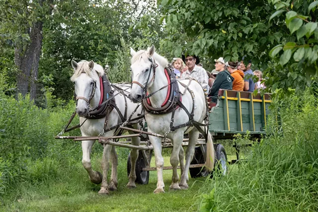Paul Ruta and his team from Black Horse Farm - COURTESY OF KENT SHAW