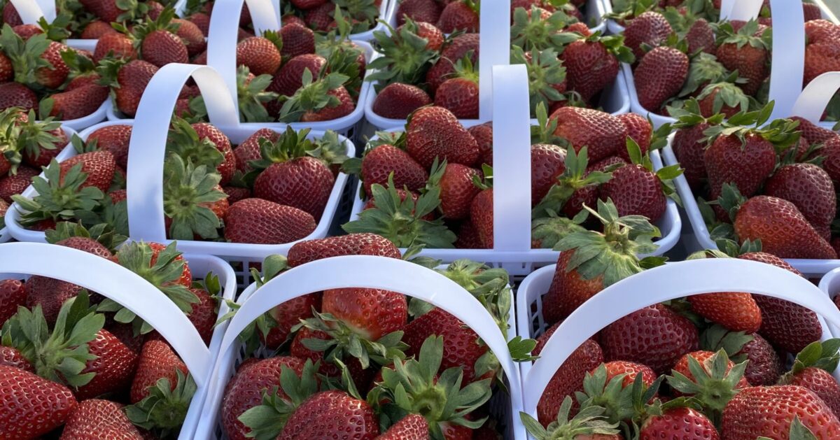 Shop local with these summer farmers' markets in + around Birmingham 2 market