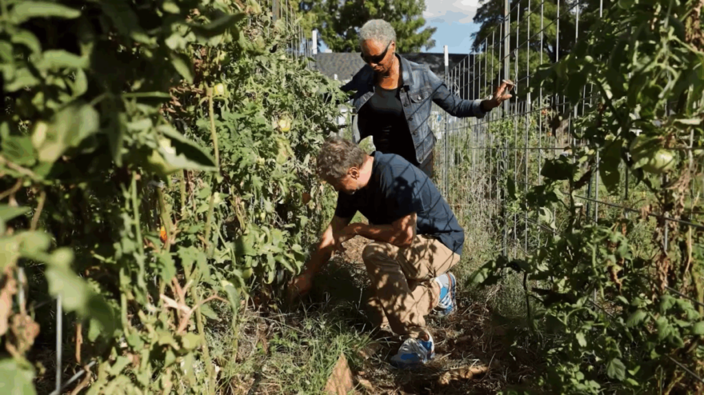 Celebrating Kansas City, From Scratch – Event_Image [EVENT]