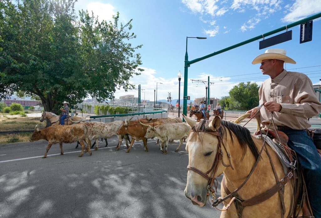 Downtown SLC cattle drive kicks off Utah 'Pioneer Week' and Days of '47 Rodeo