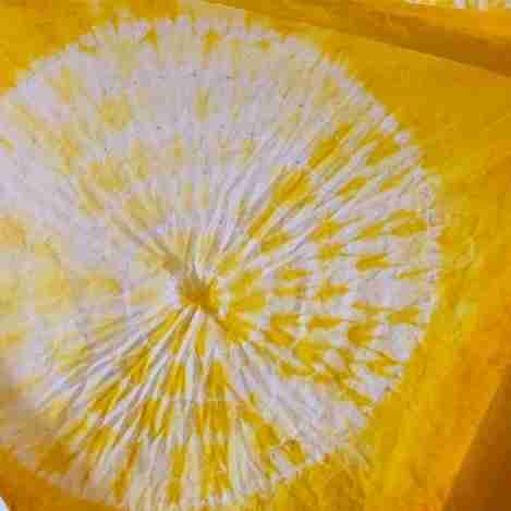 Dye-to-Dine: A One-of-a-Kind Experience Blending Botanical Artistry and Farm-to-Table Feasting at Crown Hill Farm