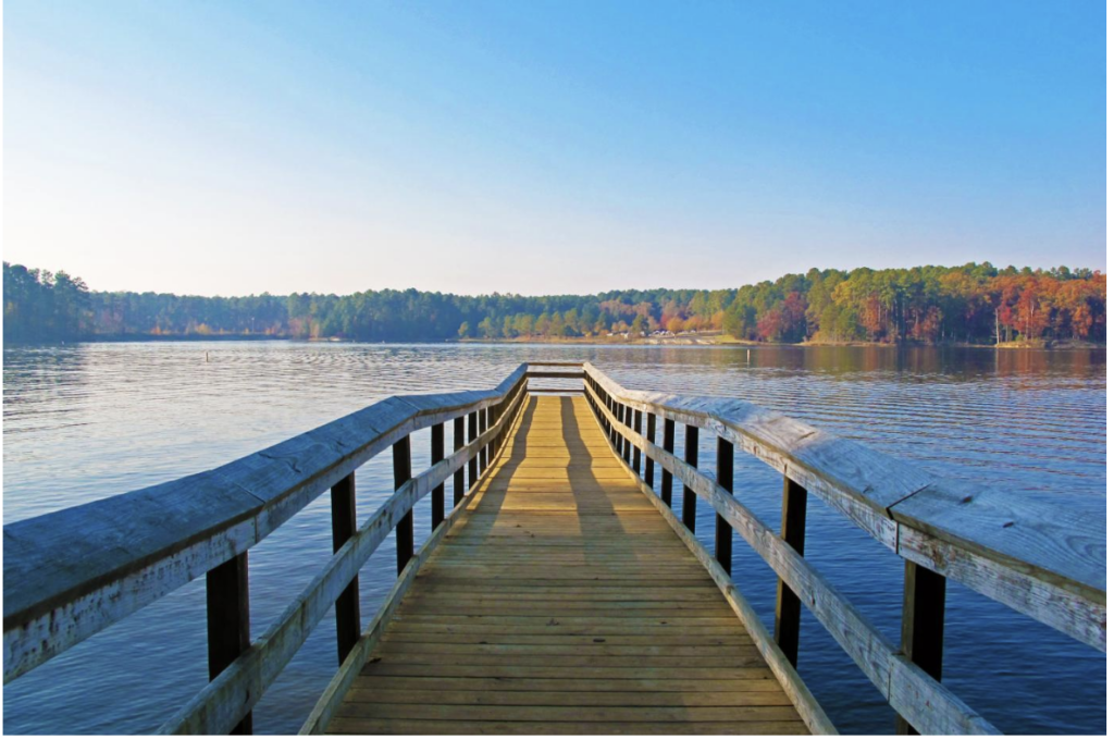 Racing to Clean Up Falls Lake—With Algae