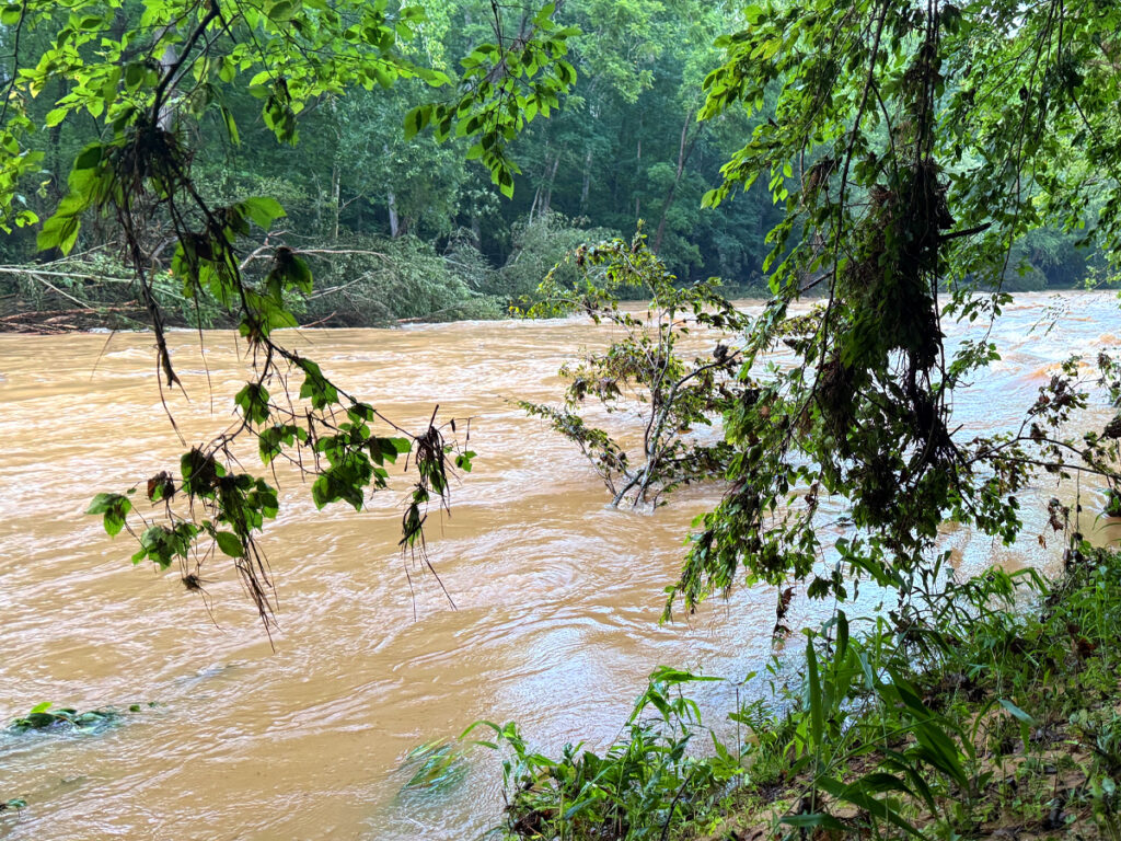 Record Chantal Flooding Damages Eno River State Park