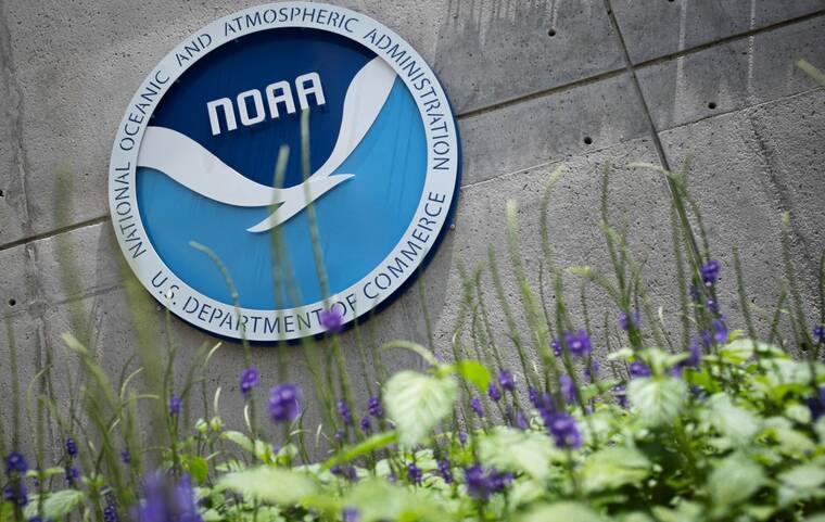 Schatz fights Trump-backed NOAA staffing cuts