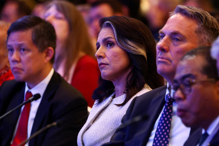 Tulsi Gabbard blasts reporter over Trump coverage