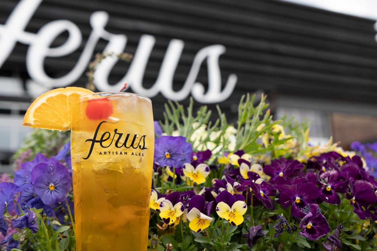17 fun weekend events including We Love Leeds fun run + 50 Years Gold party—August 15-17 7 FER03511 17 fun weekend events including We Love Leeds fun run + 50 Years Gold party—August 15-17