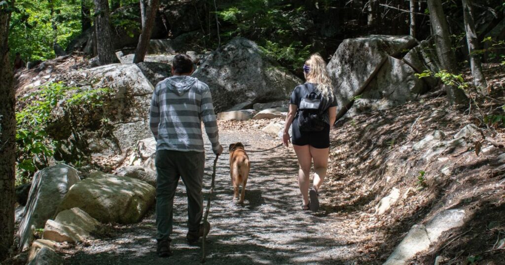 Are New Hampshire’s hiking trails the canine cloud nine?
