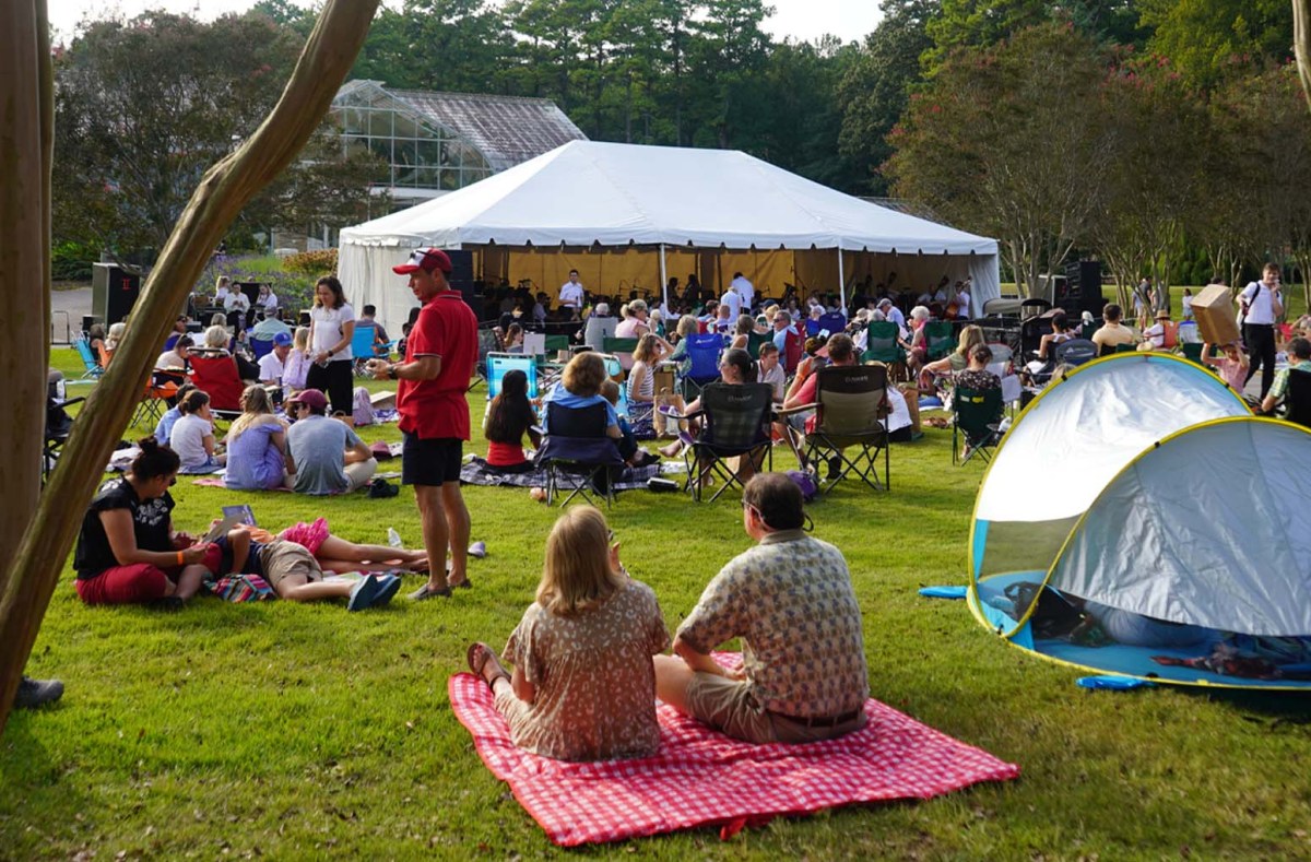 4 surprising ways to enjoy classical music in Birmingham, including a new performance at the zoo 1 Alabama Symphony Orchestra