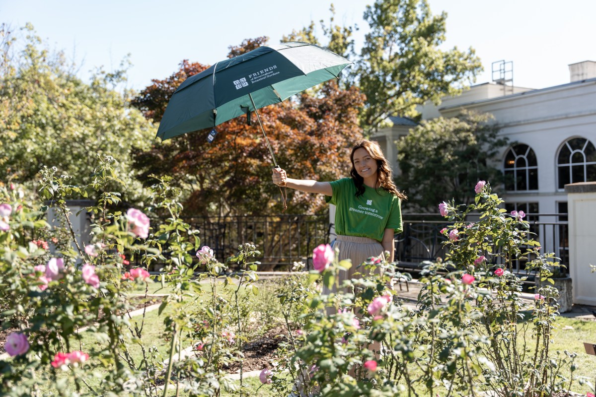 17 fun weekend events including We Love Leeds fun run + 50 Years Gold party—August 15-17 6 Birmingham Botanical Gardens
