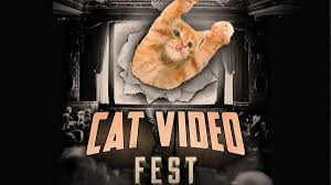 CatVideoFest 2025 – Event_Image [EVENT]