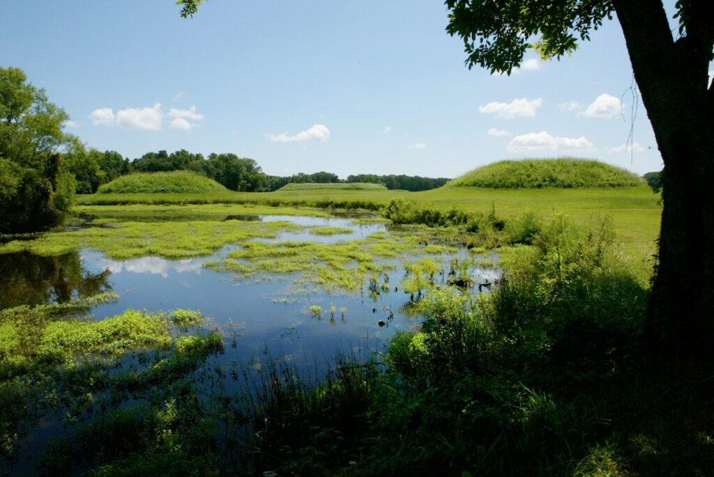 Do you remember these Alabama field trips?