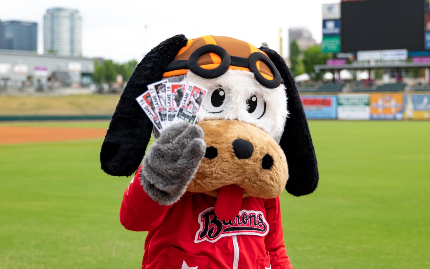 Birmingham Barons