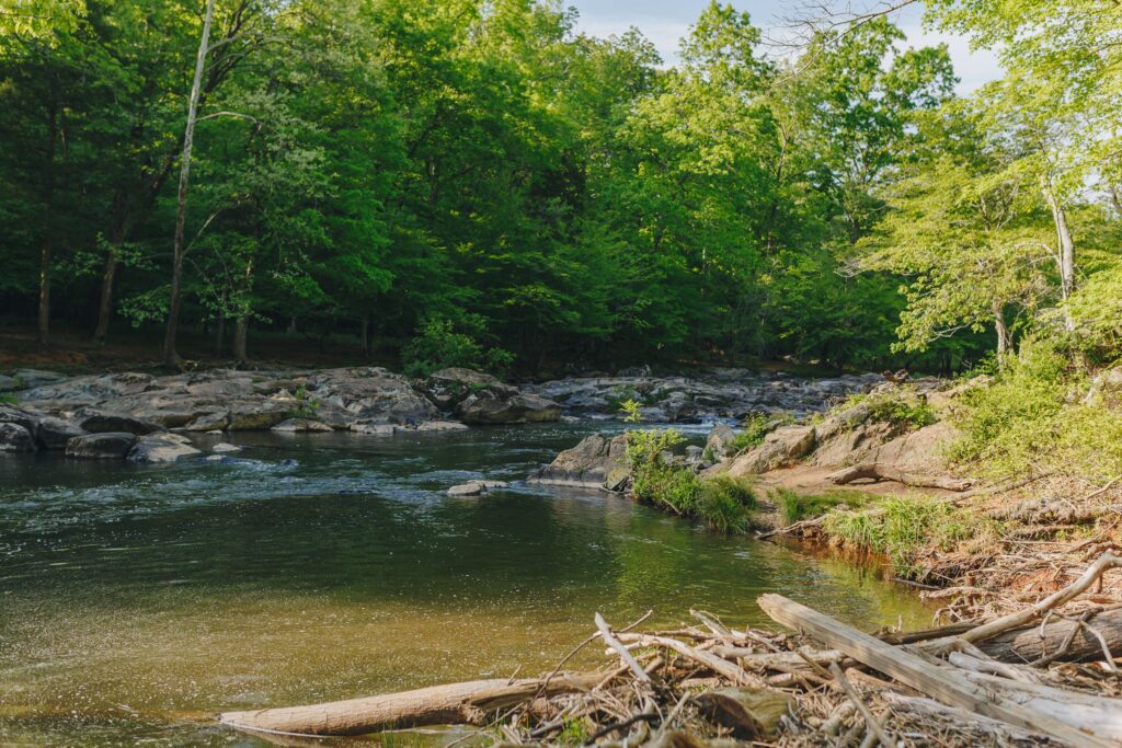 Heavily Damaged by Chantal, Eno River Trails Start to Reopen