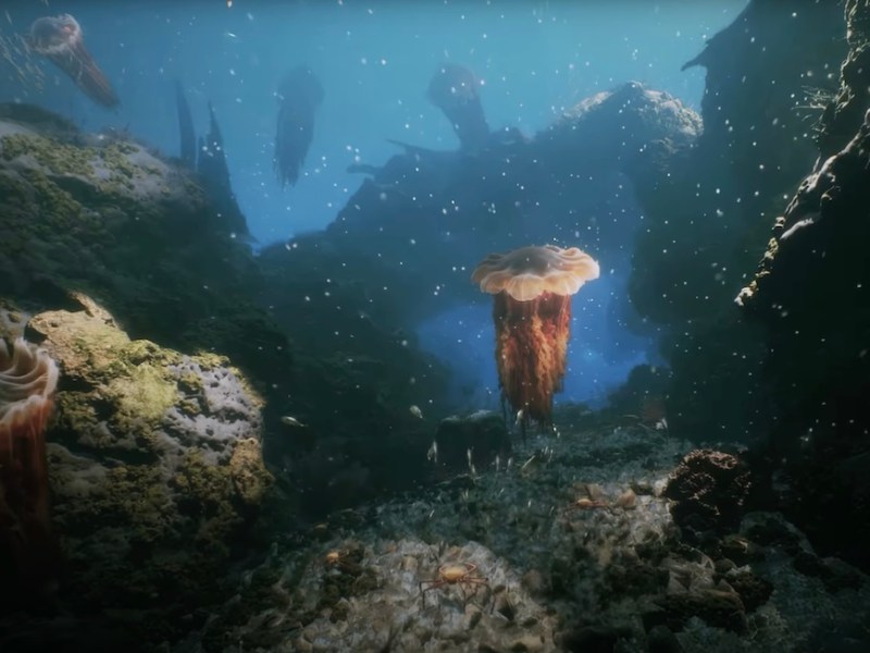 SeaWorld Orlando announces new deep-sea dark ride 