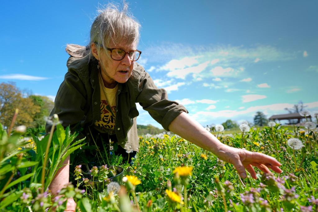 How wild food enthusiasts reconnect with nature
