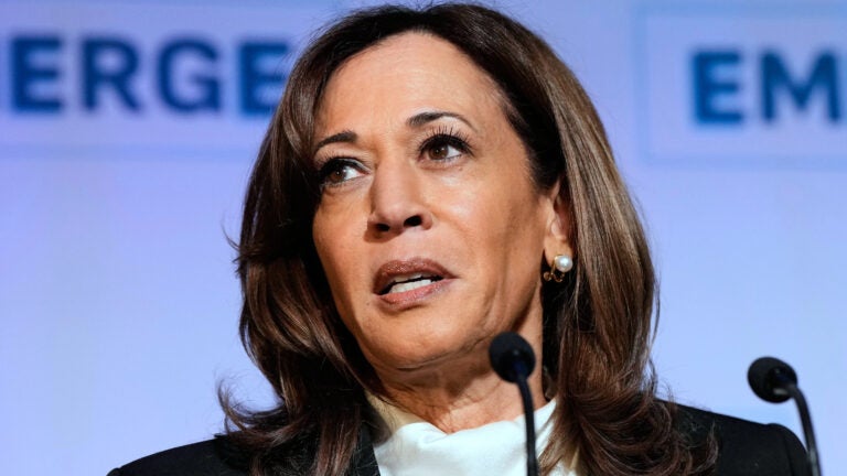 'Had a certain responsibility' to argue against Biden running
