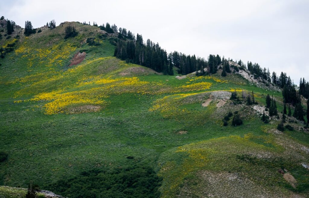 Little Cottonwood Canyon plane crash victim identified