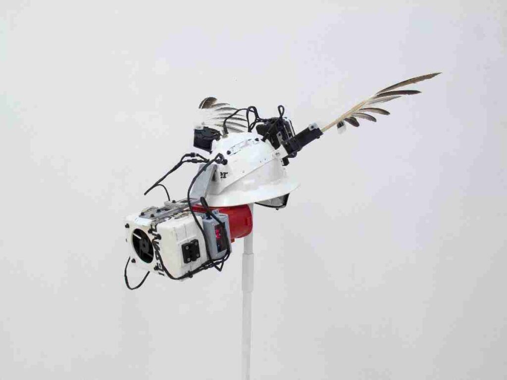 Manuel A. Rodríguez-Delgado: Interestatal - Buffalo Rising