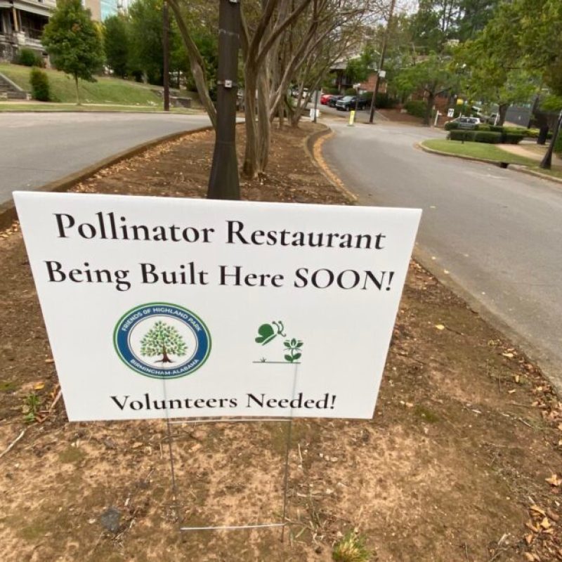 New Pollinator Restaurant + Bee Brew Pub coming to Highland Avenue