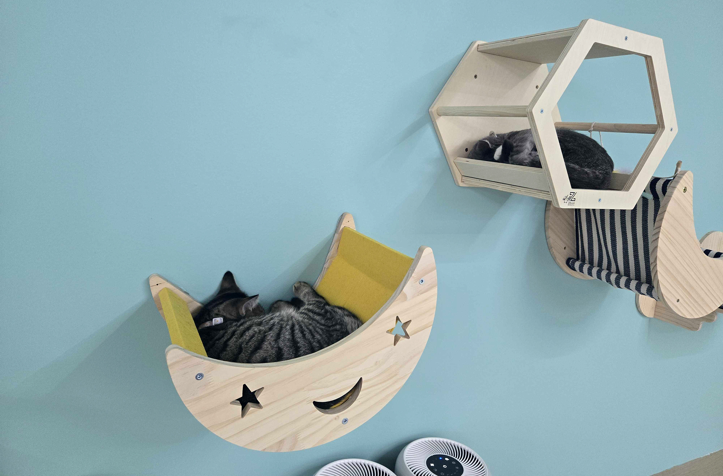 Some wall mounted perches give the cats space away from...