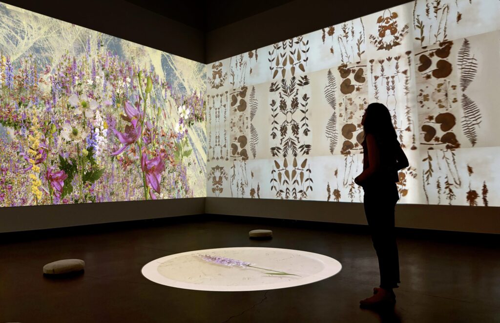 New Exhibit Shows How Thoreau's Helped Map Climate Change