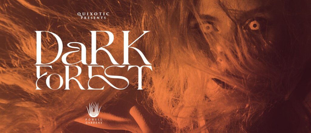 Dark Forest – Event_Image [EVENT]