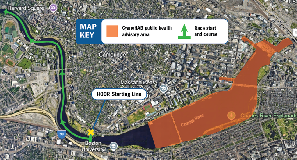 Head of the Charles won't be affected by bacteria bloom, officials say