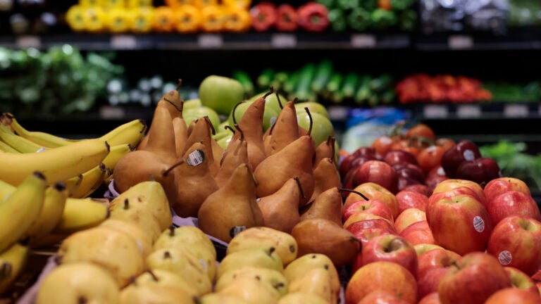 Healey announces $8M in food aid, launches SNAP Resource Hub