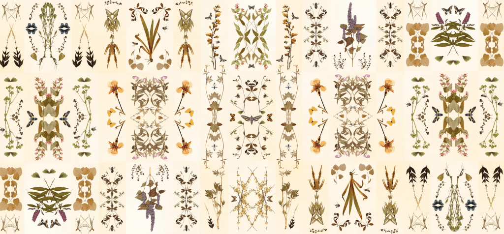 Marsha Gordon and Robin Vuchnich, "Herbaria North Carolina." Digital collage. Photo courtesy of the Gregg Museum of Art & Design. 