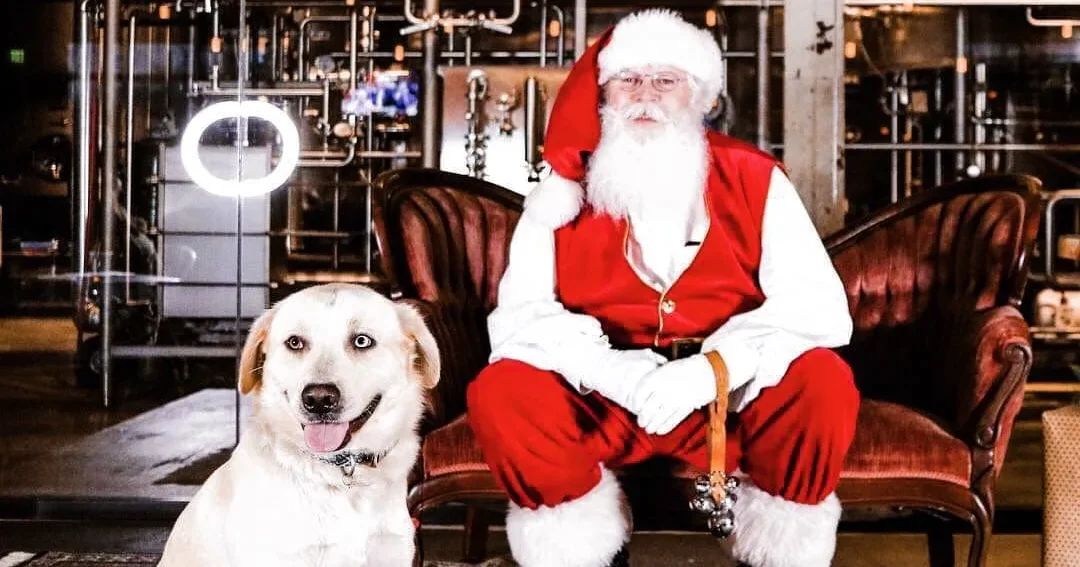 IMG 0082 1 e1760553047897 15 classic Birmingham holiday events to make your season bright