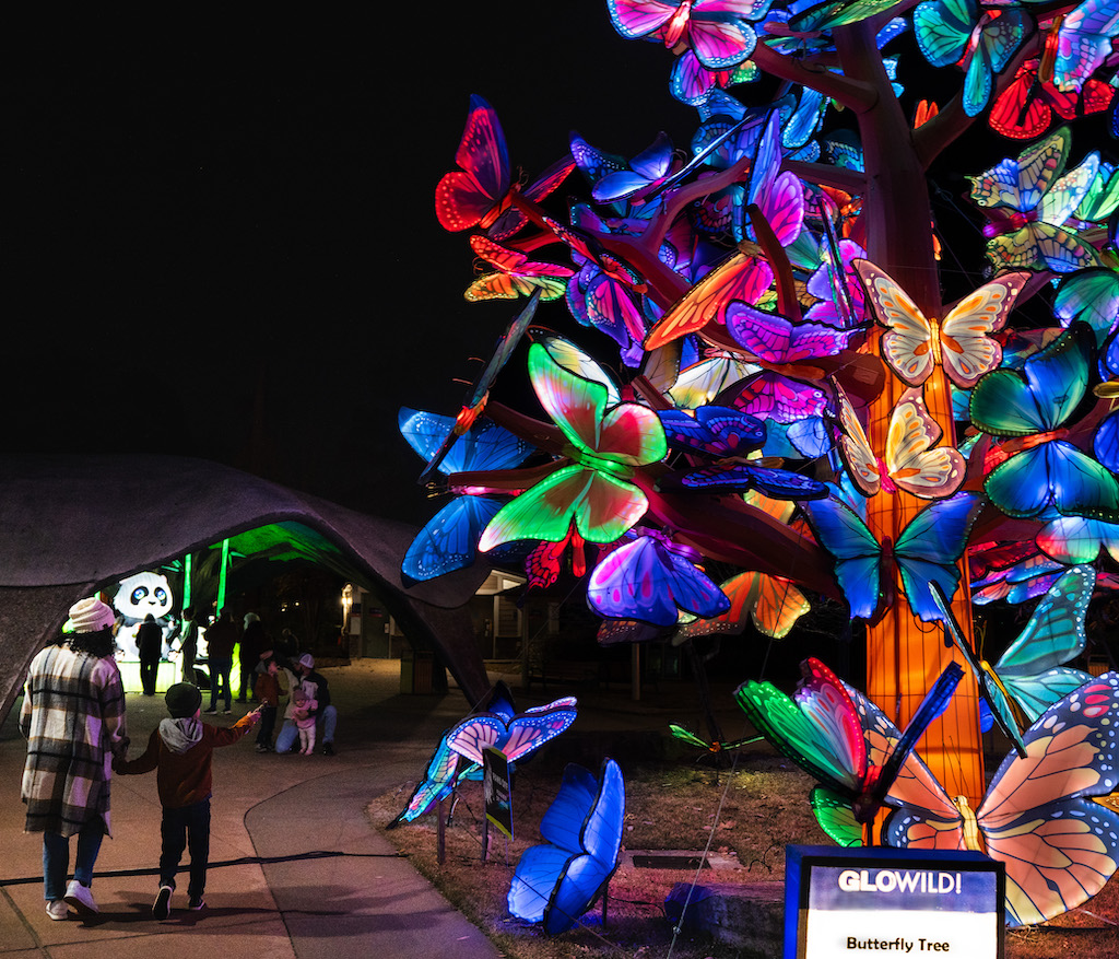 Fifth Annual GloWILD Experience Returns to Little Rock Zoo