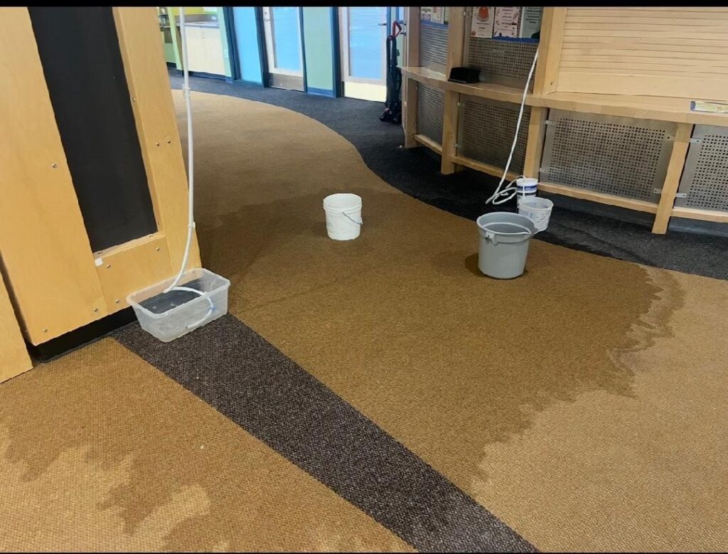 UVM Students Pressure Officials to Improve Campus Housing