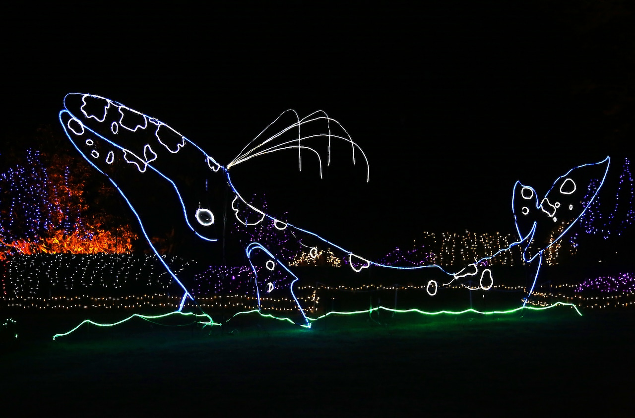 Shore Acres Holiday Lights