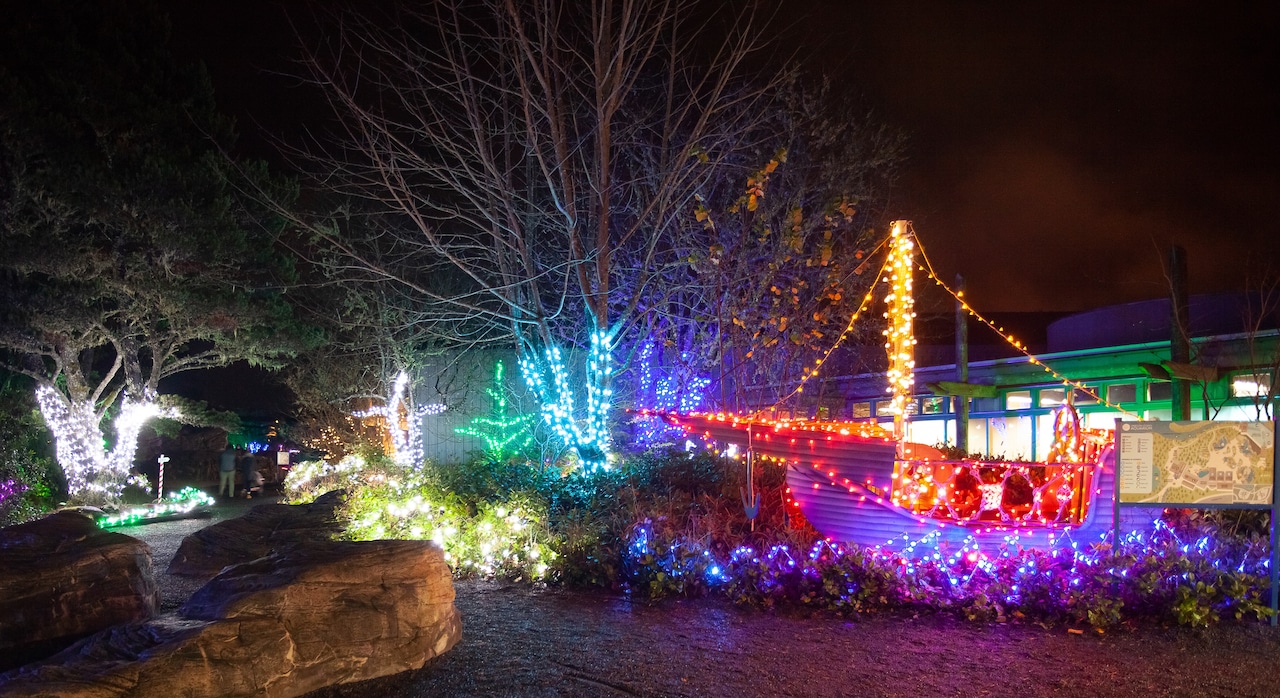 Lights Holiday Events Guide 2025