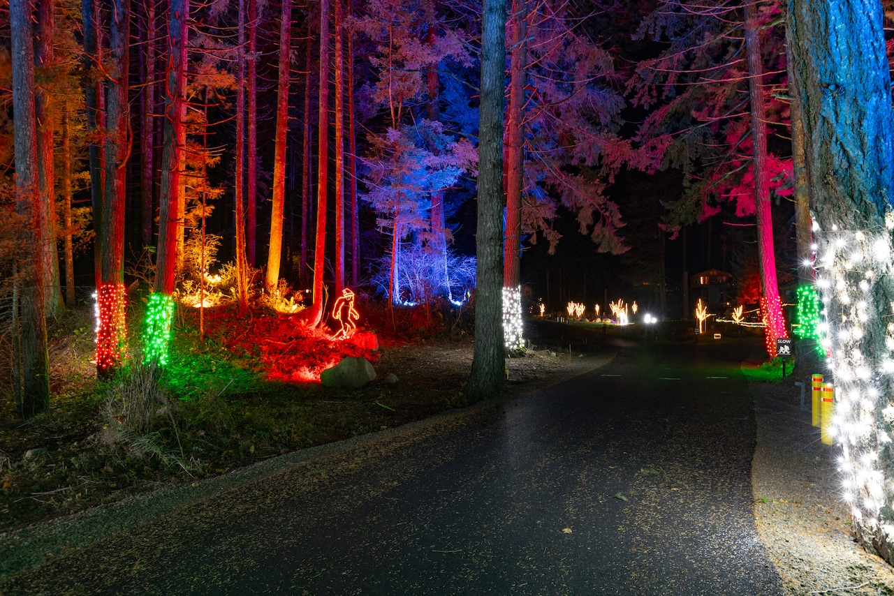 Lights Holiday Events Guide 2025